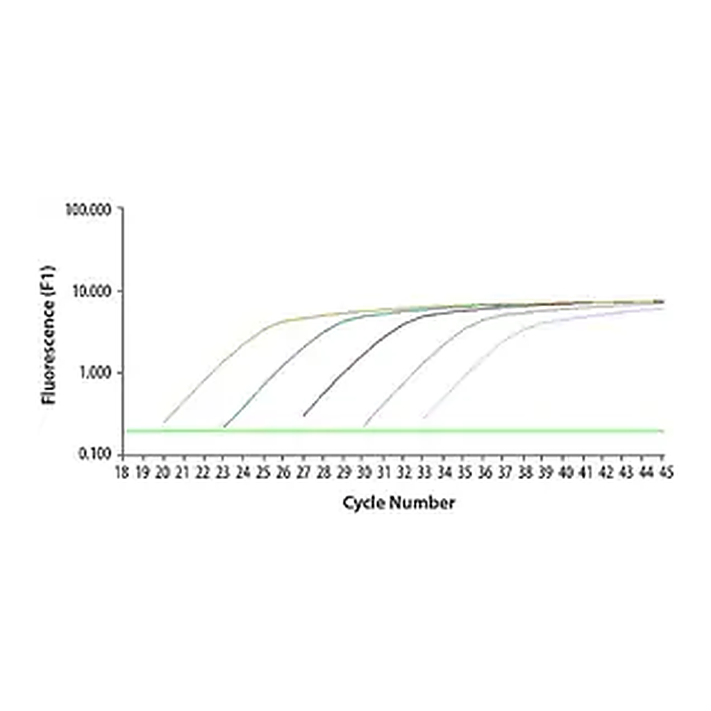 Merck SYBR Green JumpStart Taq ReadyMix for Quantitative PCR, Capillary Formulation
