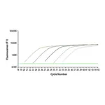 Merck SYBR Green JumpStart Taq ReadyMix for Quantitative PCR, Capillary Formulation