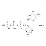 Merck Thymidine 5′-triphosphate sodium salt solution