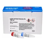 Merck In Situ Cell Death Detection Kit, TMR red