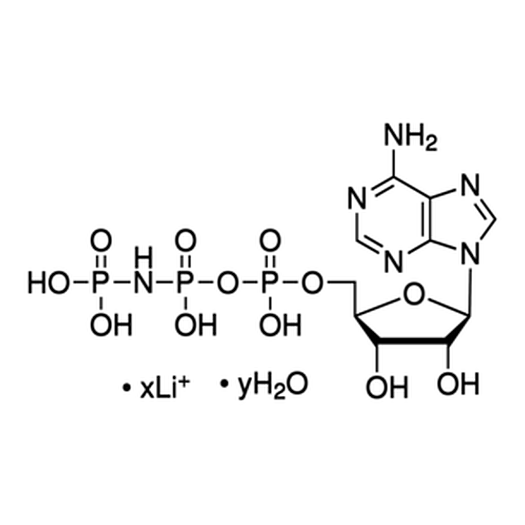 Merck AMP-PNP