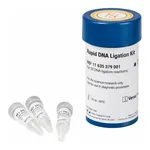 Merck Rapid DNA Ligation Kit