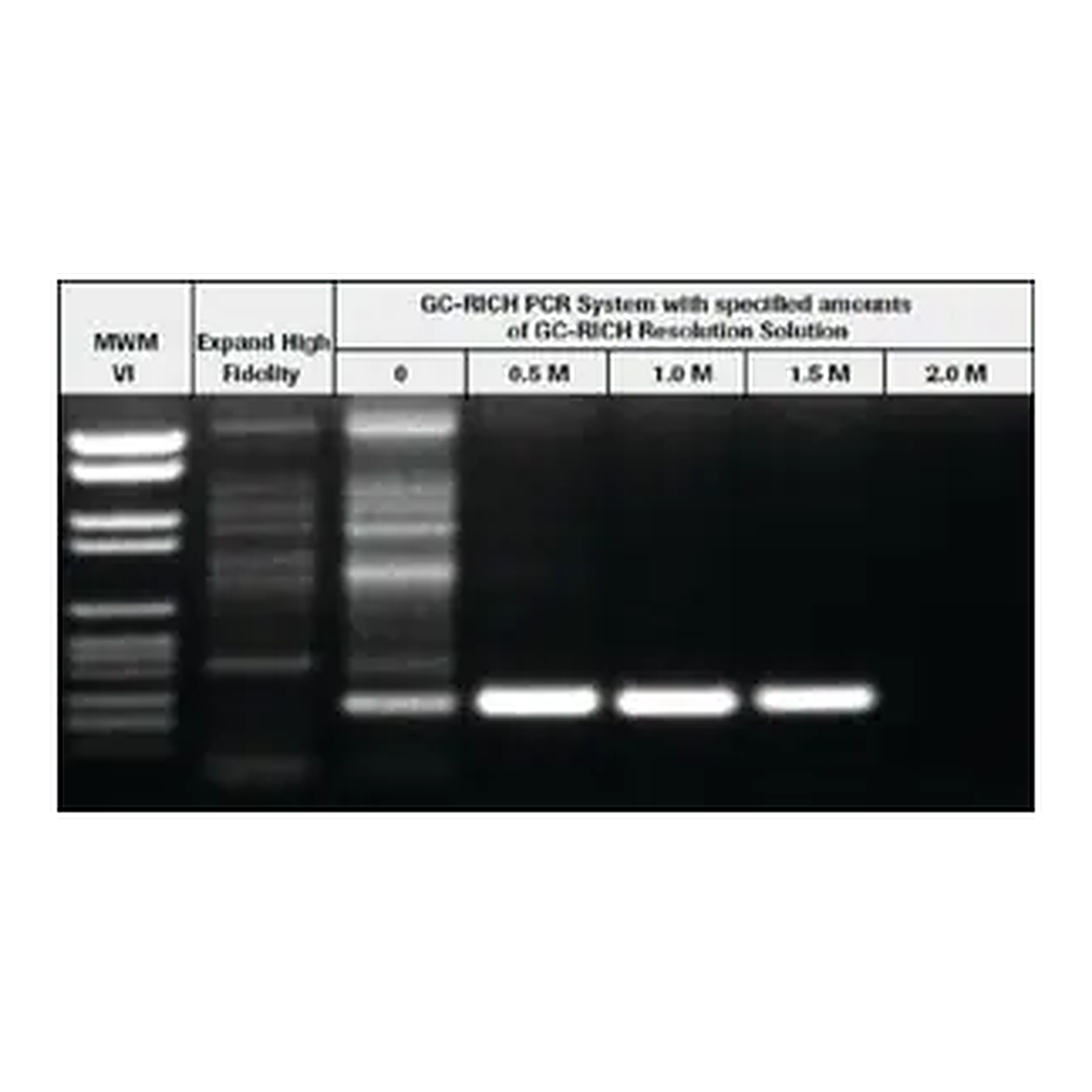 Merck GC-RICH PCR System, dNTPack