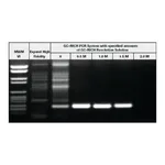 Merck GC-RICH PCR System, dNTPack
