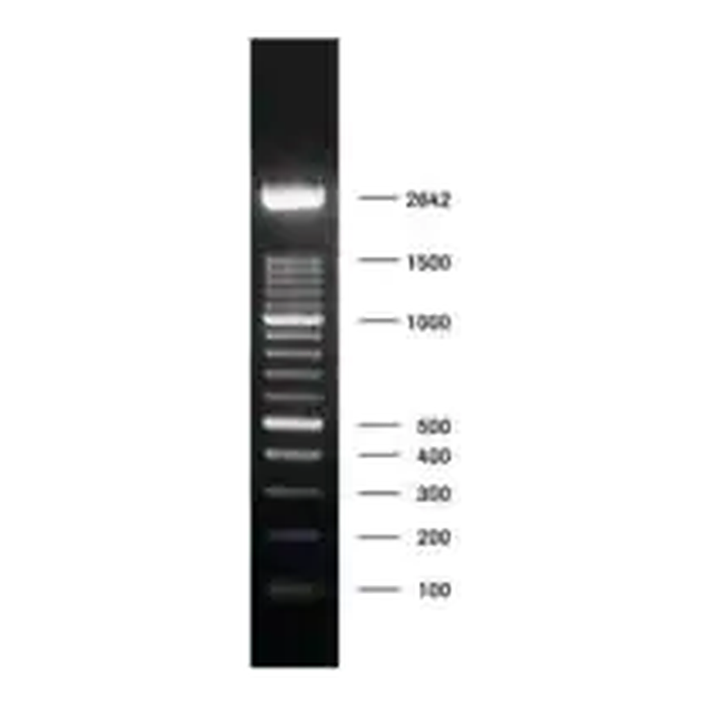 Merck DNA Molecular Weight Marker XIV (100 bp ladder)