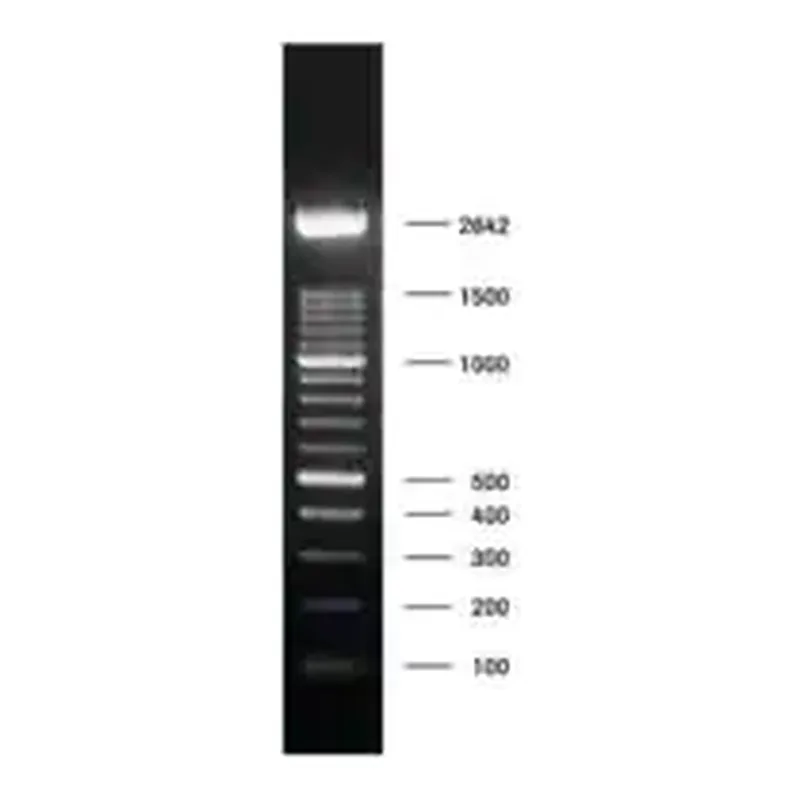 Merck DNA Molecular Weight Marker XIV (100 bp ladder)