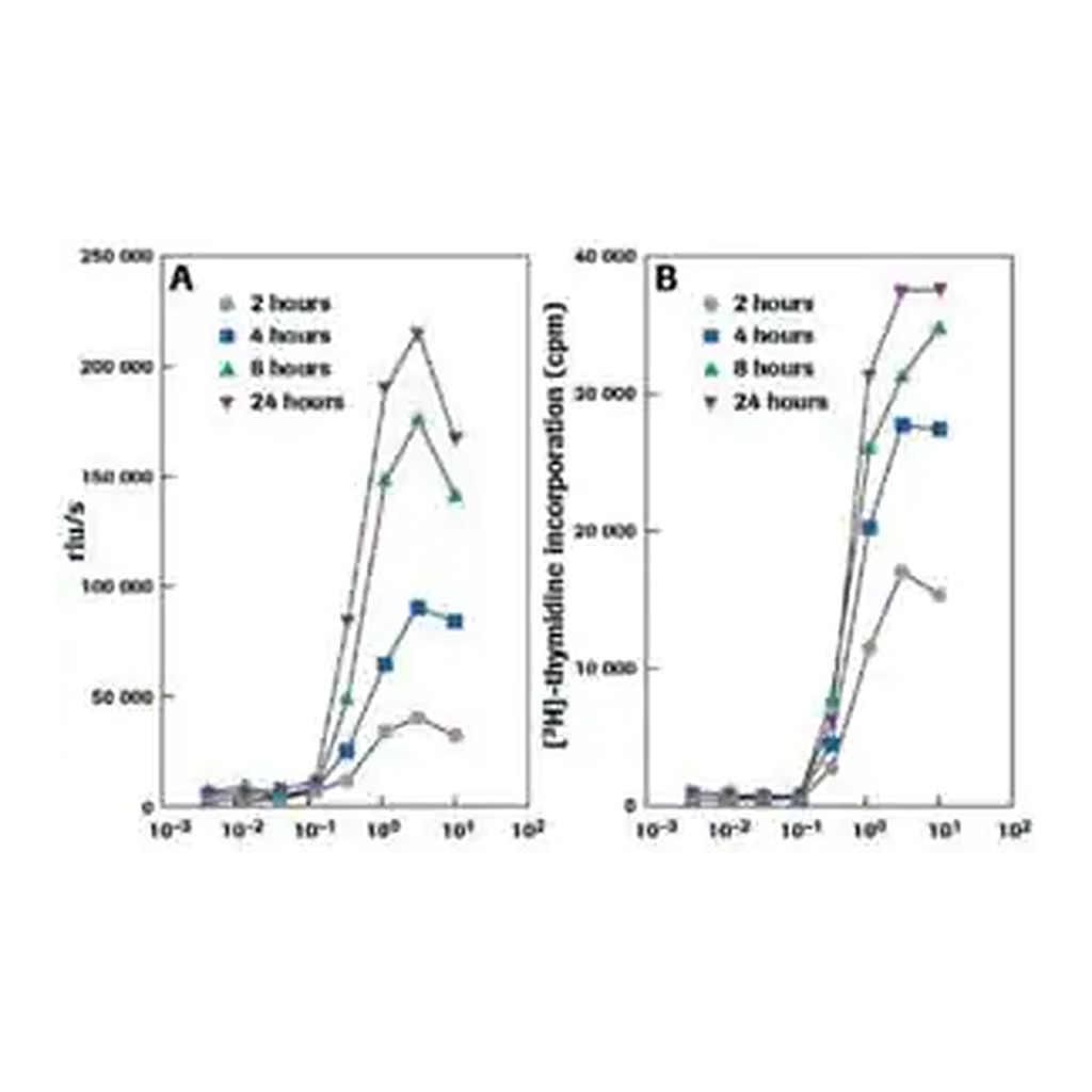 Merck Cell Proliferation ELISA, BrdU (chemiluminescent)