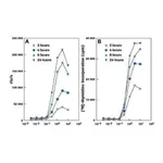 Merck Cell Proliferation ELISA, BrdU (chemiluminescent)