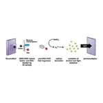 Merck Reverse Transcriptase Assay, colorimetric