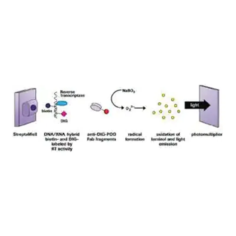 Merck Reverse Transcriptase Assay, colorimetric