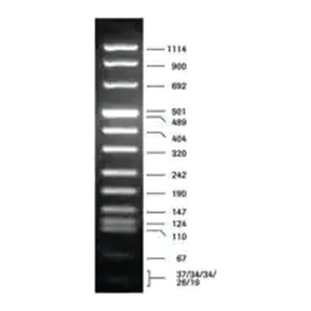 Merck DNA Molecular Weight Marker VIII
