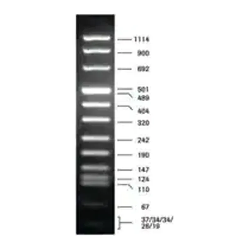 Merck DNA Molecular Weight Marker VIII