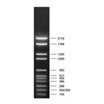 Merck DNA Molecular Weight Marker VI