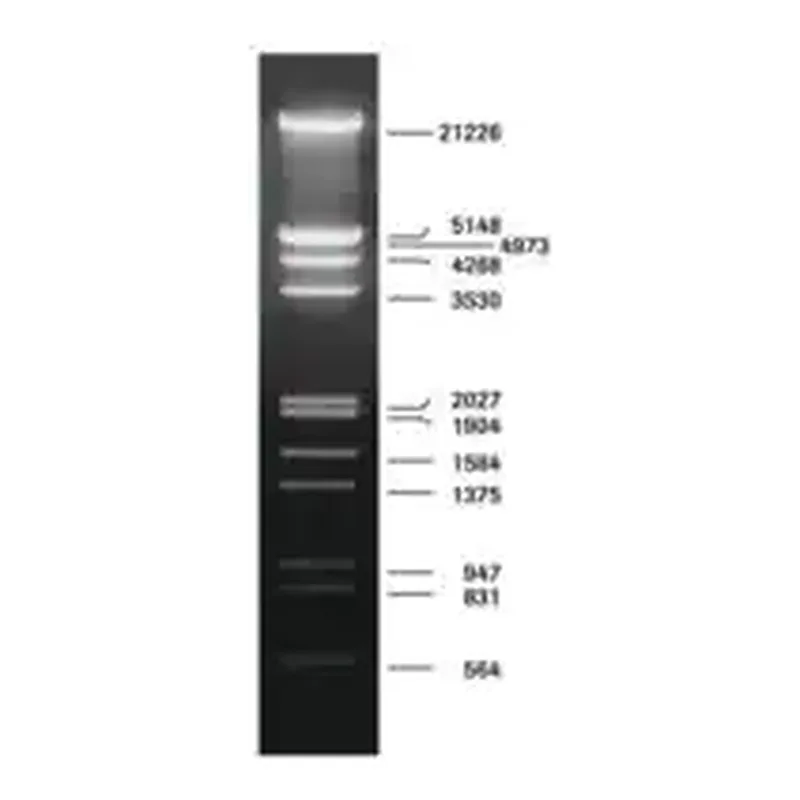 Merck DNA Molecular Weight Marker III