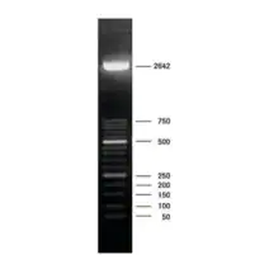 Merck DNA Molecular Weight Marker XIII (50 bp ladder)