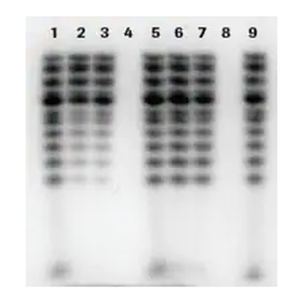 Merck mini Quick Spin DNA Columns