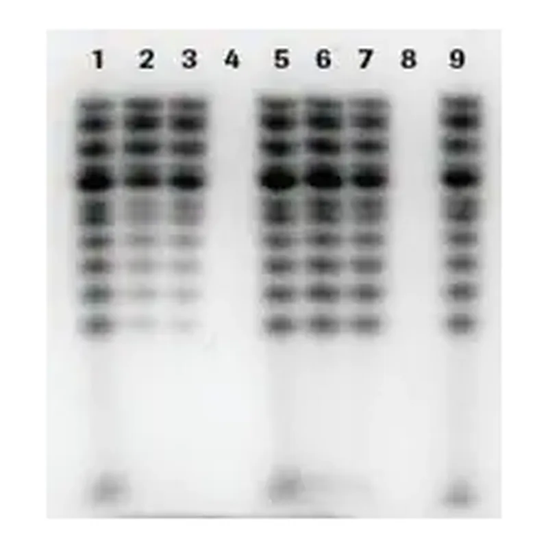 Merck mini Quick Spin DNA Columns