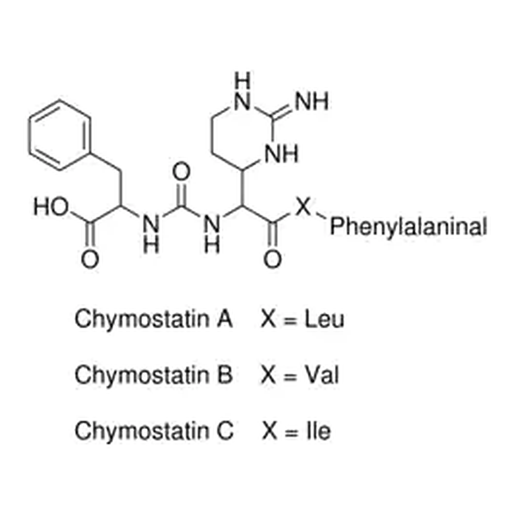Merck Chymostatin