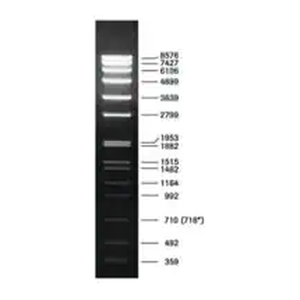 Merck DNA Molecular Weight Marker VII