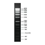 Merck DNA Molecular Weight Marker VII