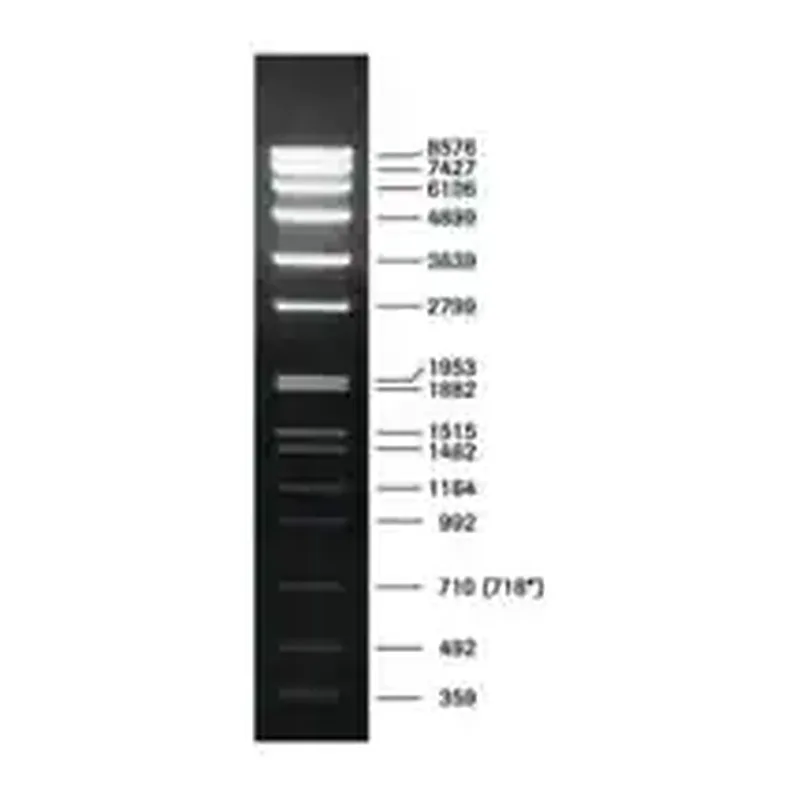 Merck DNA Molecular Weight Marker VII