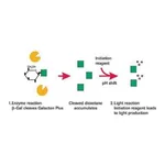 Merck β-Gal Reporter Gene Assay, chemiluminescent