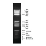 Merck DNA Molecular Weight Marker V
