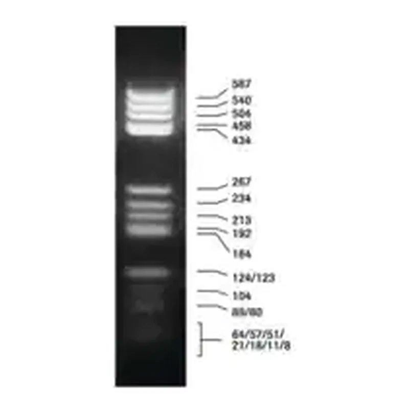 Merck DNA Molecular Weight Marker V