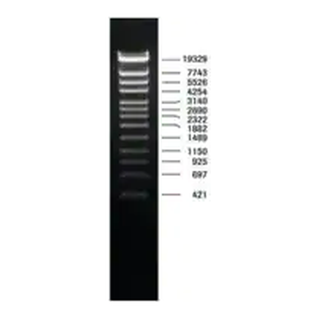 Merck DNA Molecular Weight Marker IV