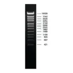 Merck DNA Molecular Weight Marker IV