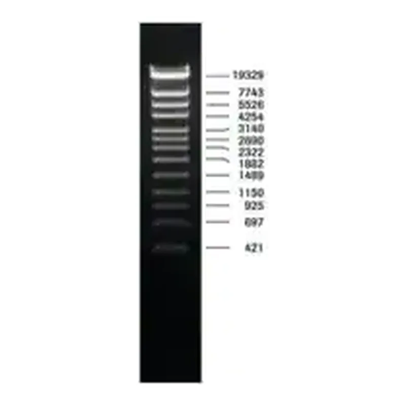 Merck DNA Molecular Weight Marker IV