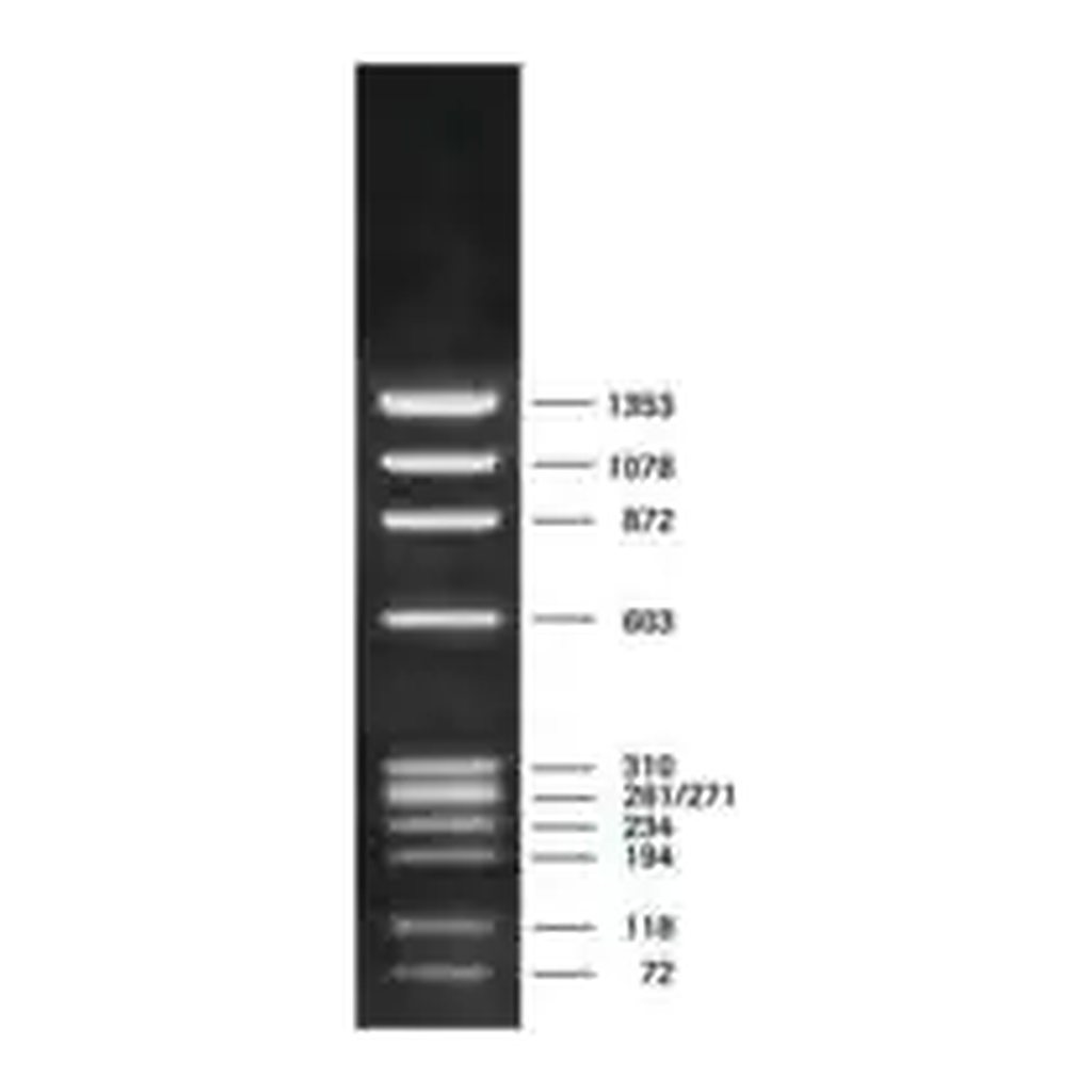Merck DNA Molecular Weight Marker IX