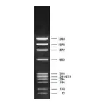 Merck DNA Molecular Weight Marker IX