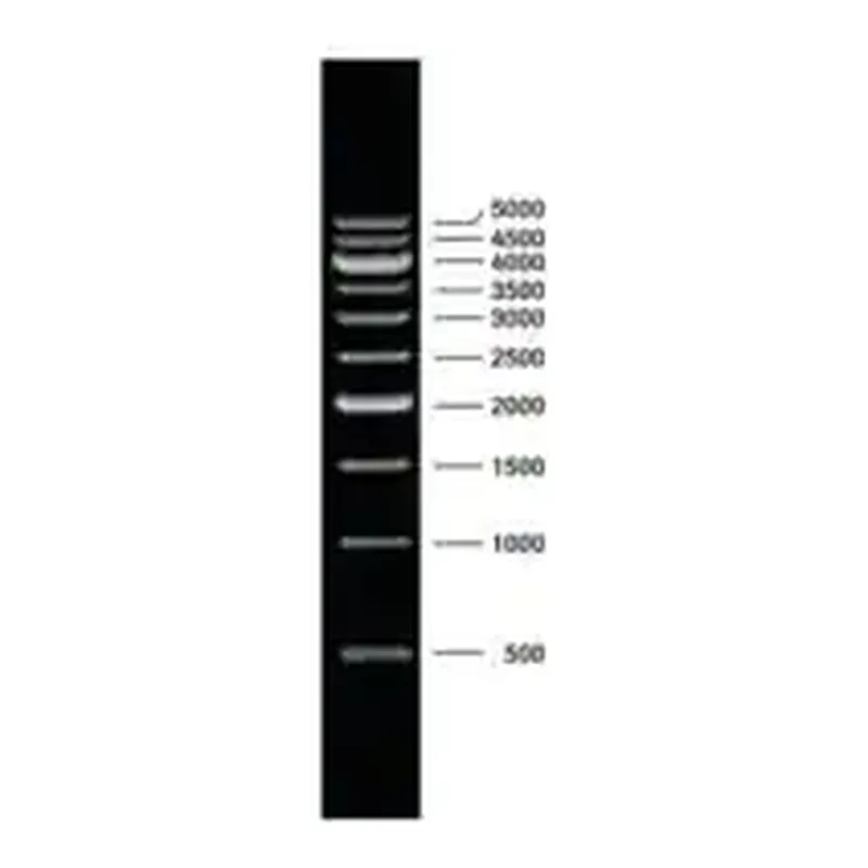 Merck DNA Molecular Weight Marker XVII (500 bp ladder)