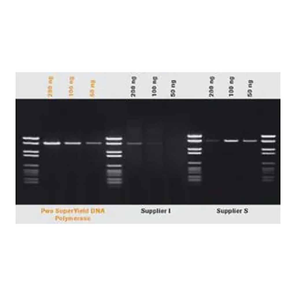Merck Pwo SuperYield DNA Polymerase, dNTPack