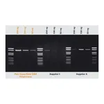 Merck Pwo SuperYield DNA Polymerase, dNTPack