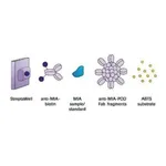 Merck MIA ELISA