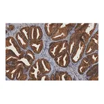 Merck Anti-MIF Antibody, clone 1K16 ZooMAb Rabbit Monoclonal