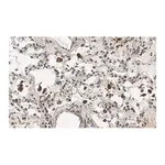 Merck Anti-MRC1 Antibody, clone 1C9 ZooMAb Rabbit Monoclonal