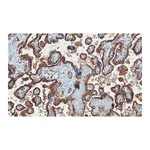 Merck Anti-GLUT-1 Antibody, CT, clone 16D21, ZooMAb Rabbit Monoclonal