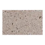 Merck Anti-VGLUT2 Antibody, clone 8G9.2 ZooMAb Mouse Monoclonal