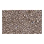 Merck Anti-G0S2 Antibody, clone 2C13 ZooMAb Rabbit Monoclonal