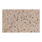 Merck Anti-MAP2 Antibody, clone AP20 ZooMAb Mouse Monoclonal