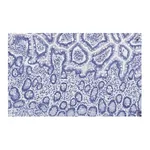 Merck Anti-Gab1 Antibody, clone 4B20, ZooMAb Rabbit Monoclonal