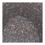 Merck Anti-GRK6 antibody produced in rabbit