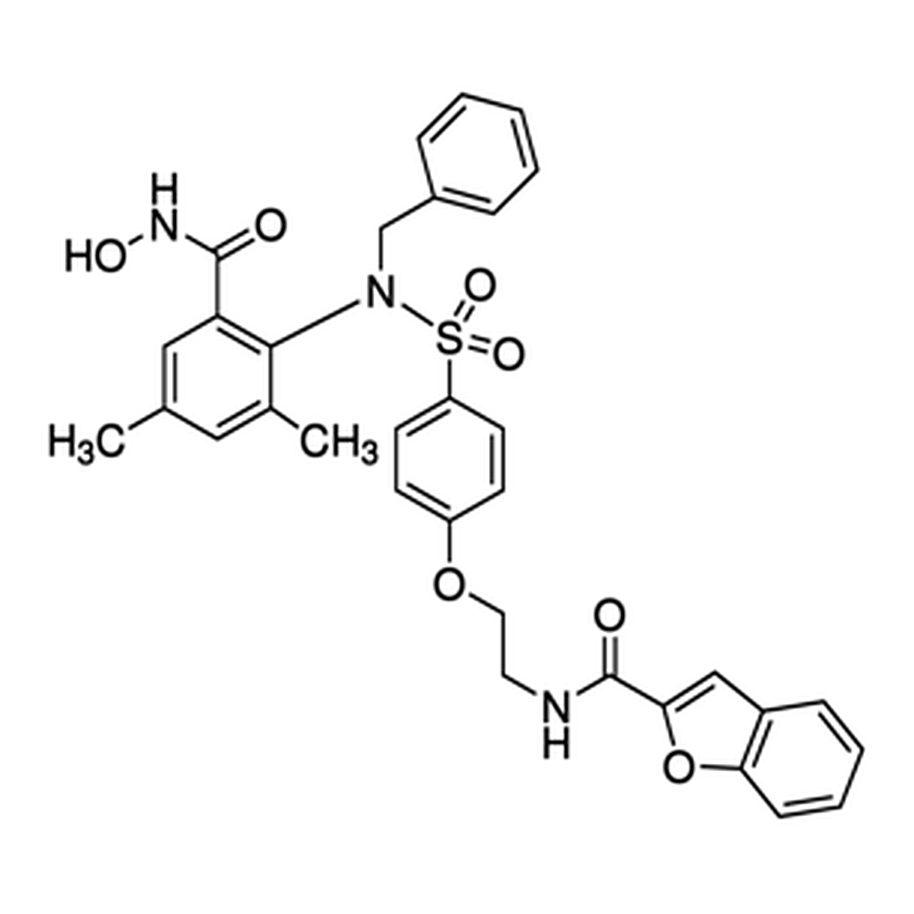 Merck WAY 170523