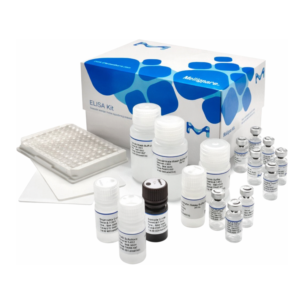 Merck Glucagon Like Peptide-1 (Active) ELISA