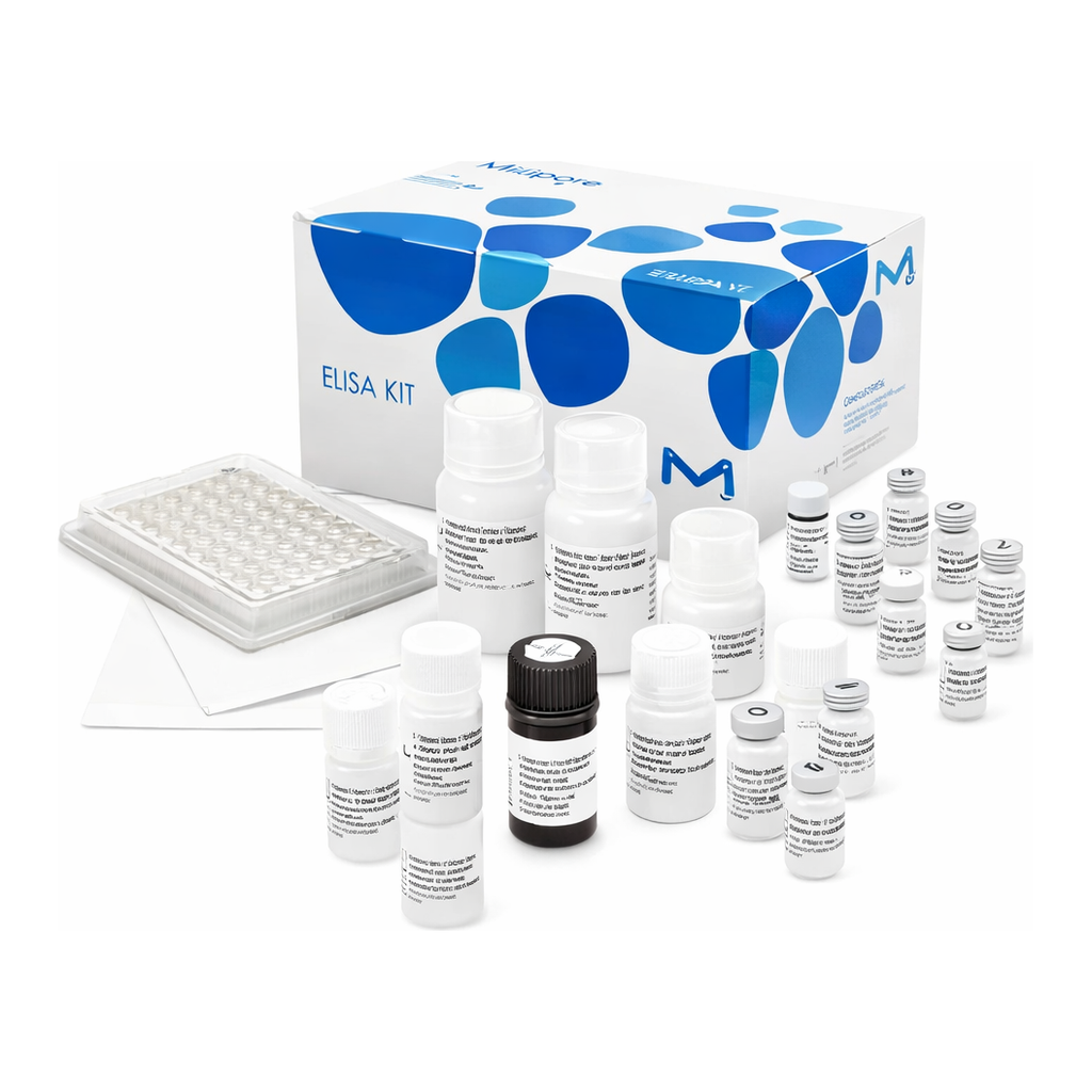 Merck Human Ghrelin (total) ELISA