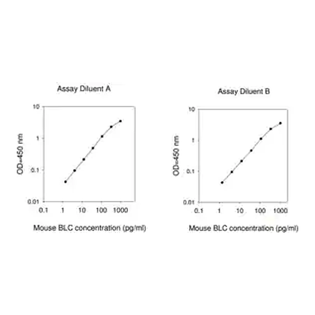 Merck Mouse BLC / CCL13 ELISA Kit