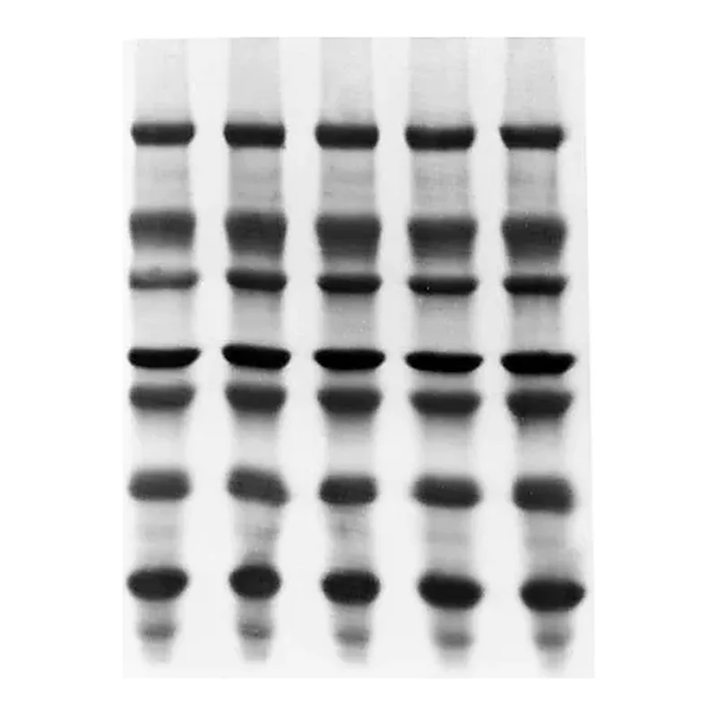 Merck Immobilon-PSQ PVDF Membrane